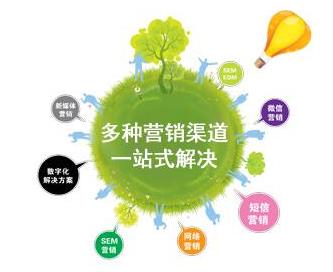 網(wǎng)站設(shè)計(jì)與網(wǎng)絡(luò)技術(shù)開發(fā) 專業(yè)服務(wù)歡迎來電咨詢